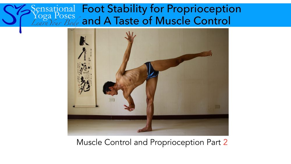 Foot stabilization can lead to better knee and hip control. These foot exercises are designed to help improve proprioception and are a prepatory exercise for learning better knee and hip muscle control.. Neil Keleher. Sensational Yoga Poses.