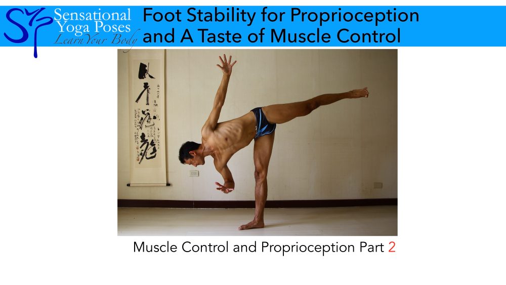 Lower extremity proprioception discount exercises