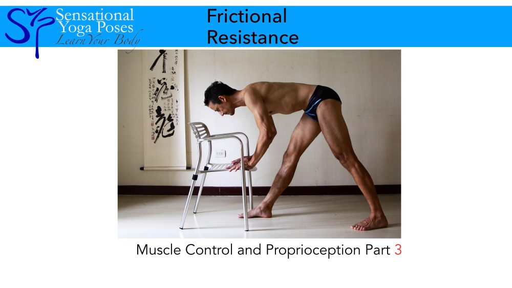 Frictional Resistance is a method of increasing leg, arm and core strength. It is part 4 in the Muscle Control and Proprioception series of Yoga Video Workshops.. Neil Keleher. Sensational Yoga Poses.