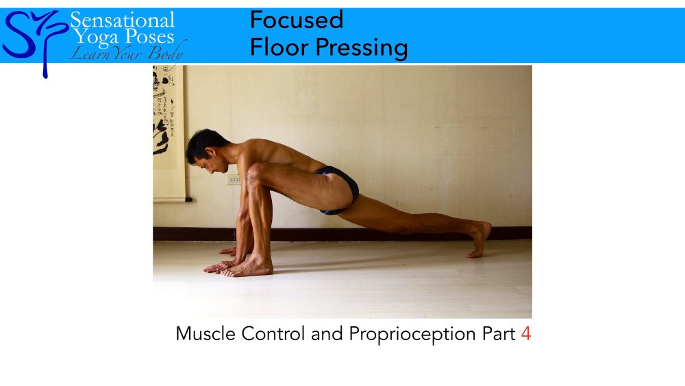 mcp4 Focused Floor pressing, Muscle control and proprioception yoga video workshop part 4.. Neil Keleher. Sensational Yoga Poses.