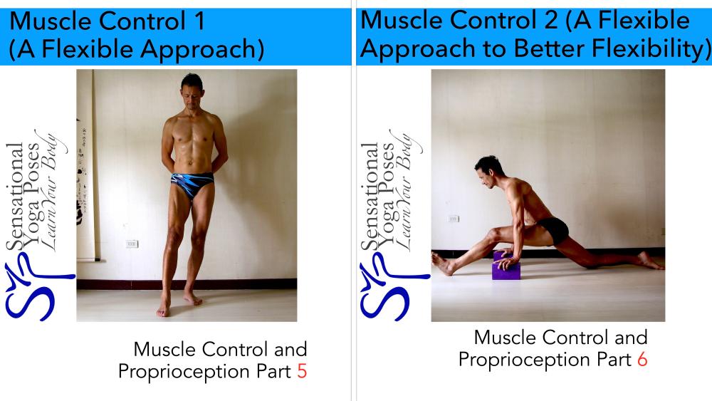 Muscle Control Yoga Workshop Video