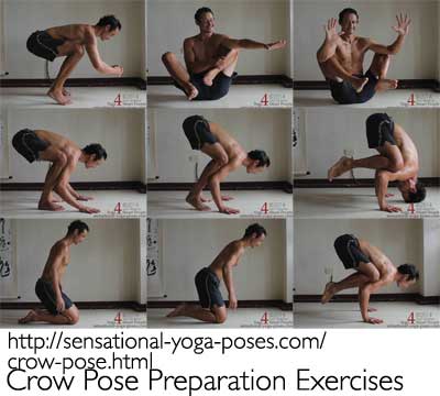 Crow Pose Arm Balance