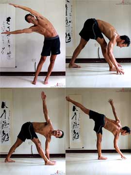 yoga for flexibility recovery positions to regain muscle control: standing side bend, triangle forward bend, revolving triangle and half moon pose. Neil Keleher, sensational yoga poses.