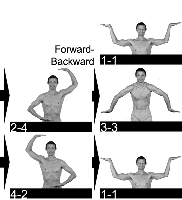 dance of shiva: Forward Backward movement set starting from (and finishing at) 1 1  Neil Keleher, Sensational Yoga Poses.