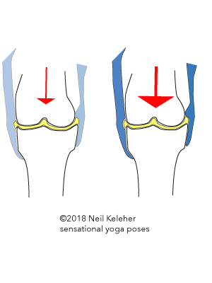 How joints resist compression