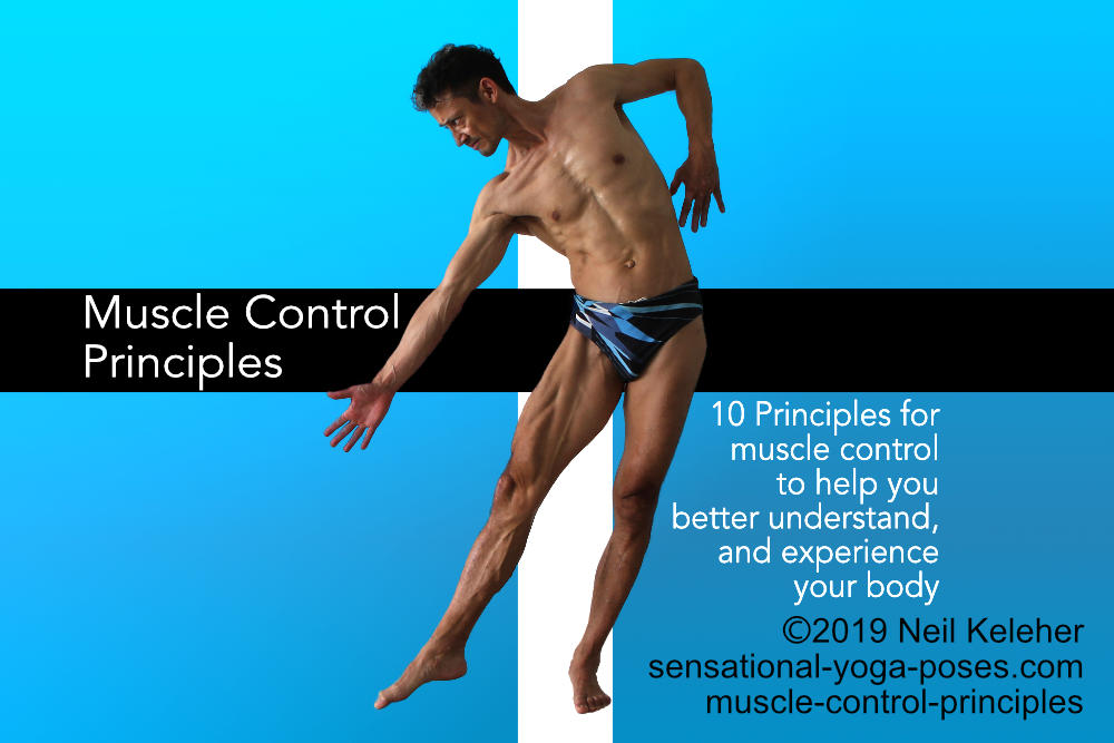 Muscle Control 