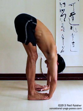 ashtanga yoga poses, standing yoga poses, padahastasana, hand to foot pose