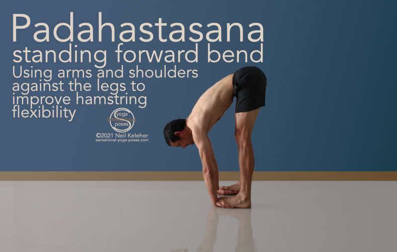 In this standing forward bend, Padahastasana, you slide your hands under the feet with palms facing up and fingers pointing rearwards with the knees straight. YOu can press your toes and forefeet down and then use your arms against your foot and leg muscles to strengthen your arms and legs. You can also use your arms to help stretch your hamstrings. Neil Keleher, Sensational Yoga Poses.