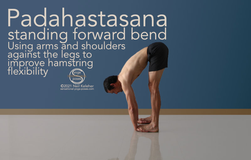 Baddha Konasana | Bound Angle Pose | Steps | Benefits