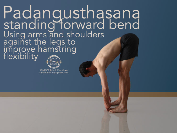 In this standing forward bend, padangusthsana, you grab onto the big toes with the knees straight. You can then use your arms against your leg muscles to strengthen your arms and legs. You can also use your arms to help stretch your hamstrings. Neil Keleher, Sensational Yoga Poses.