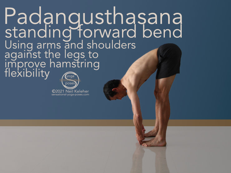 Parshvottanasana (Intense Side Stretch Pose) - Yoga Asana