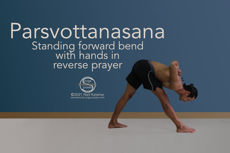 reverse prayer, reverse prayer hamstring stretch, reverse prayer shoulder stretch, reverse prayer forward fold, parsvottanasana