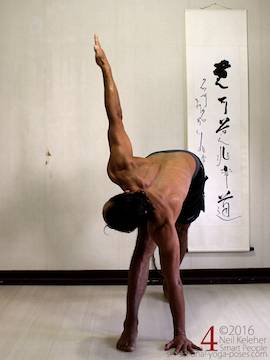 Revolved triangle pushing the hips to the side, neil keleher, sensational yoga poses.