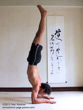 forearm stand, pincha mayurasana, inverted yoga poses. In this picture I'm balanced on forearms with forearms parallel. Spine is bend backwards and knees are straight. Gaze is downwards between the forearms. Neil Keleher. Sensational Yoga Poses.