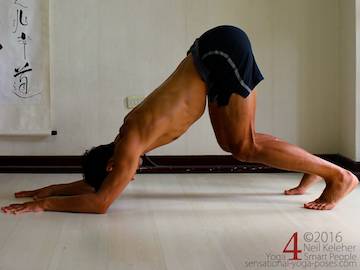 Dolphin Pose , Neil Keleher, Sensational yoga poses