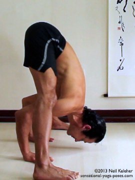 ashtanga yoga poses, prasaritta padotanasana a, side view