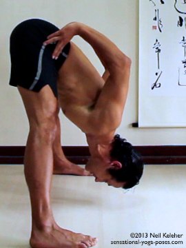 ashtanga yoga poses, prasaritta padotanasana b, side view