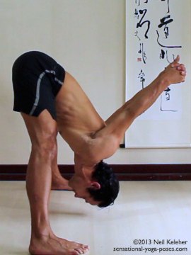 prasaritta padotanasana c as a counterpose for the warrior 1 arm position