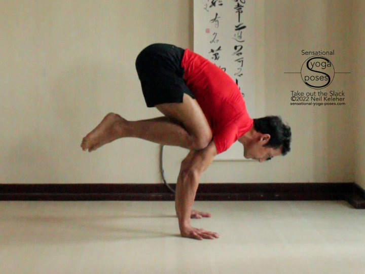 In crow pose the hands are in a push up position with the knee resting on the backs of the arms. This pose is easier than handstand because the knees are resting on the backs of the arms and because the center of gravity is lower. 