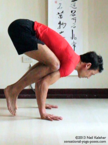 beginners yoga poses, beginners yoga workout, sensational yoga poses, basic yoga poses,  crow pose, bakasana, heron pose, arm balance yoga pose