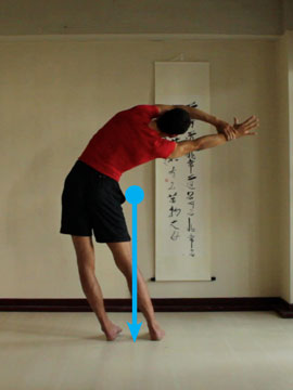 location of center of gravity, body upright and bent to one side
