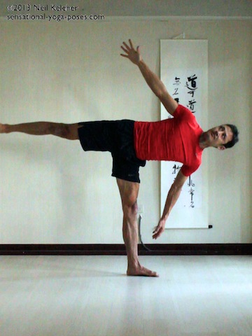beginners yoga poses, beginners yoga workout, sensational yoga poses, basic yoga poses, half moon yoga pose variaiton