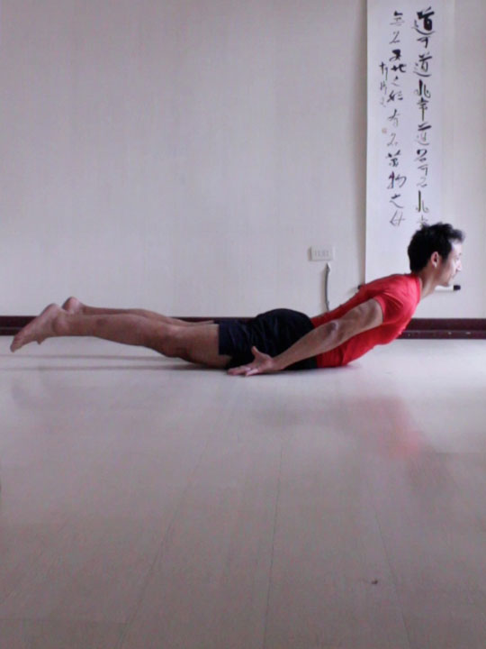 locust pose with legs lifted, back of the hands on the floor.