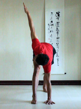 revolving triangle (parivrtta trikonasana or twisting triangle) deepening the twist