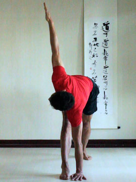 revolving triangle (parivrtta trikonasana or twisting triangle) with hand close to inside of foot