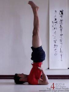 forward bending yoga poses, shoulderstand