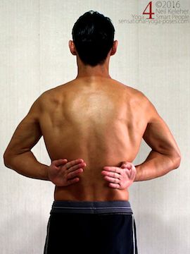 SHOULDERS + BACK - Infinite Body Awareness