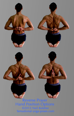 Athletic Lady Showing Right And Wrong Variation Of Reverse Prayer Pose,  Paschima Namaskarasana Yoga Pose. Female Holding Anjali Mudra Behind The  Back, Exercise For Flexible Wrists, Arms, Shoulders. Close-up. Back View.  Healthy