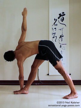 ashtanga yoga poses, parivrtta trikonasana, revolving triangle yoga pose right side. In right side twisting triangle, feet are flat on the floor with the front foot pointing straight ahead and the back foot slightly turned out. Both knees are straight and the torso is hinged forwards at the hips with the left hand on the floor on the outside of the right foot. The right arm is reaching upwards. Head is turned to the right so that the eyes can look upwards. Model Neil Keleher, Sensational Yoga Poses.