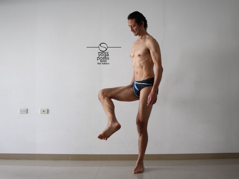 With a knee that is bent but stiff, you can use the sartorius to flex the hip. Neil Keleher, Sensational Yoga Poses.
