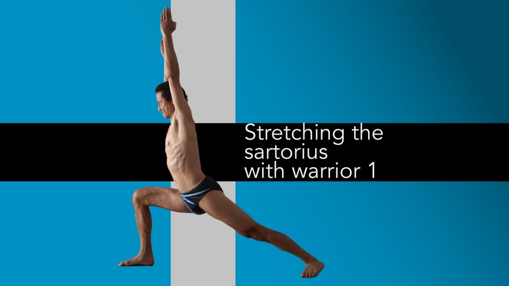 If you sink the hips (but pull upwards on the ASICs) you can use warrior 1 to stretch the sartorius of the back leg. Neil Keleher, Sensational Yoga Poses.