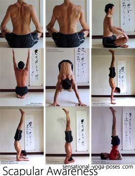 Yoga Poses for Strength, Exercises for Back and Shoulders