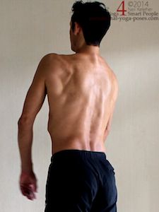 Scapluar stabilization, protraction while standing. Neil Keleher. Sensational Yoga Poses.