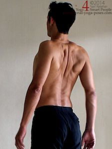shoulder strengthening exercises, retraction while standing. Neil Keleher. Sensational Yoga Poses.