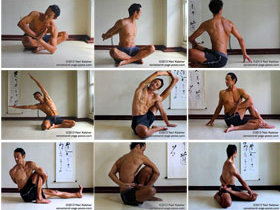 Seated Yoga Poses, Neil Keleher, Sensational yoga poses