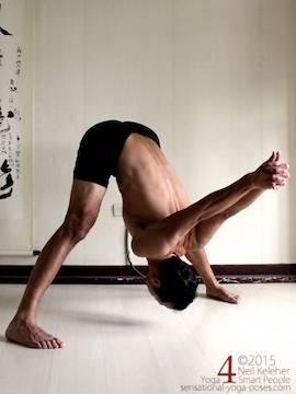 prasaritta padotanasana C. Neil Keleher, Sensational Yoga Poses.