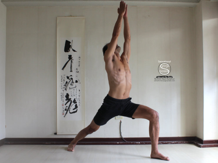 warrior 1, serratus anterior, trapezius, yoga anatomy