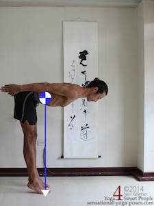 location of center of gravity, body bent forwards with arms back