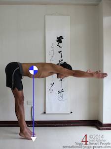 location of center of gravity, body bent forwards with arms forwards, neil keleher, sensational yoga poses