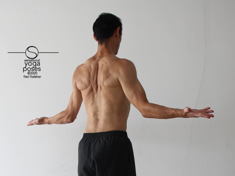 Shoulder Rotation Exercises