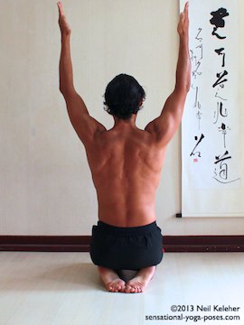 using serratus anterior muscle to protract shoulder blades with arms lifted and elbows slightly bent, start position.
