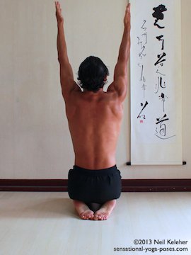 yoga pose brush strokes for the arms, arms lifted with elbows straight