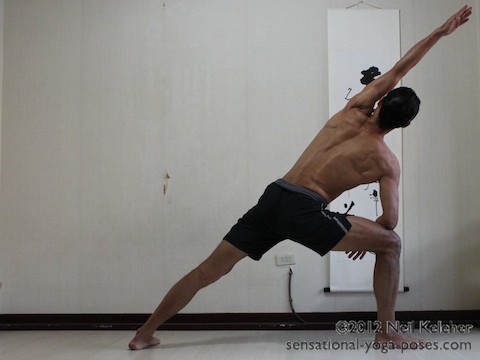 side angle with arm on thigh, yoga pose with pelvis tilted to side.