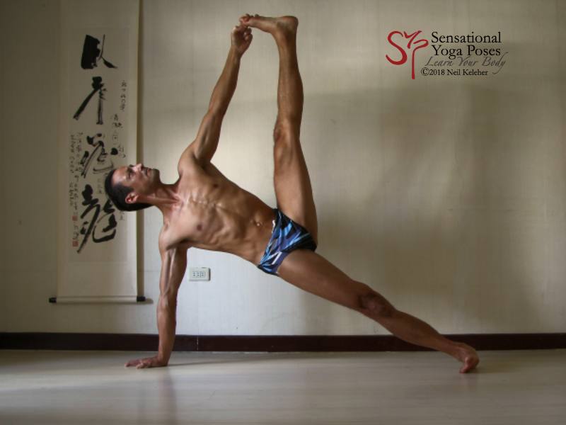 Dolphin Pose (Forearm Adho Mukha Svanasana) – Yoga By Artemesia