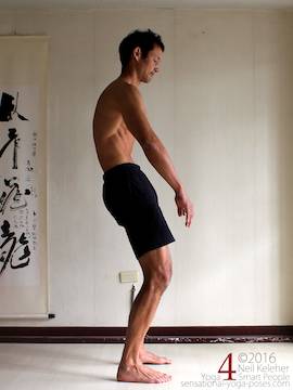 lumbar spine flattened while standing. neil keleher, sensational yoga poses.
