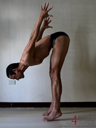 standing forward bend with heels lifted Neil Keleher. Sensational Yoga Poses.
